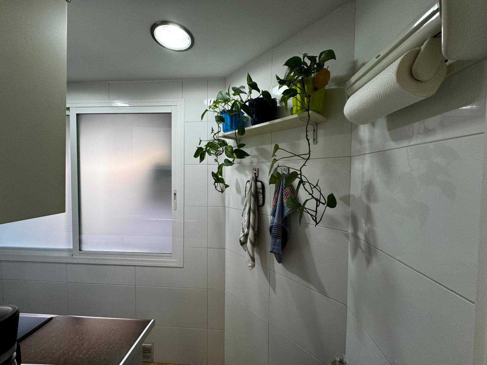 Russafa Codrut Apartment บาเลนเซีย ภายนอก รูปภาพ